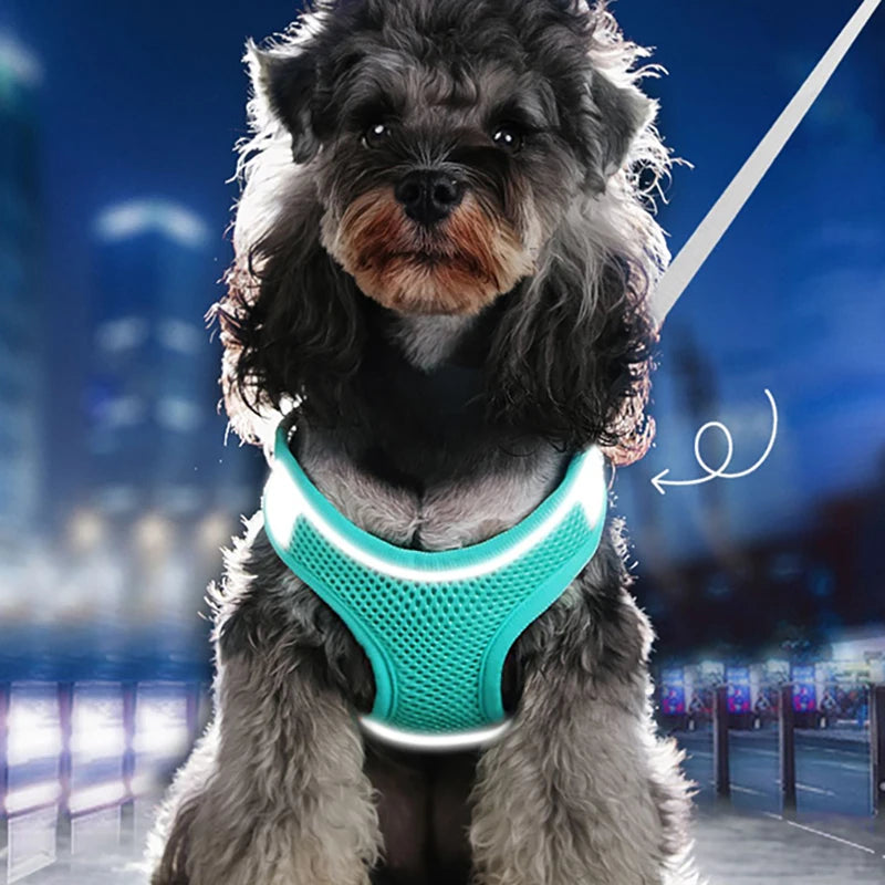 ComfortFit Adjustable Harness for Dogs & Cats