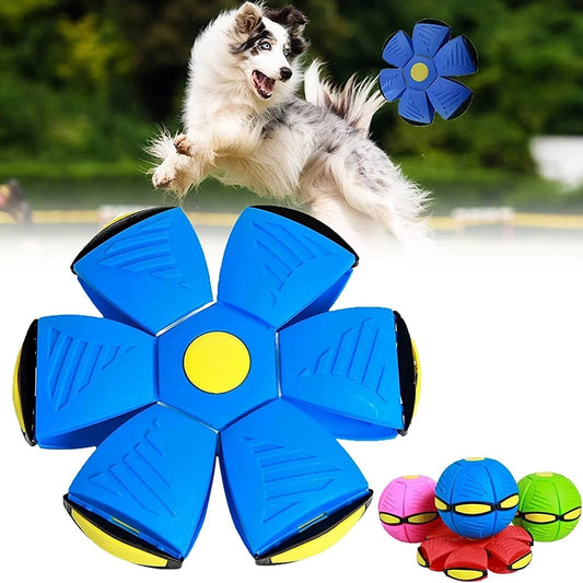 Magic Funny Pet Toy Flying Saucer