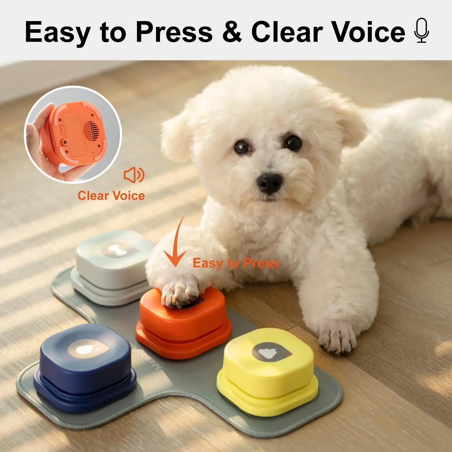 Interactive TRAINING BELL with Non-Slip Pad & Stickers"