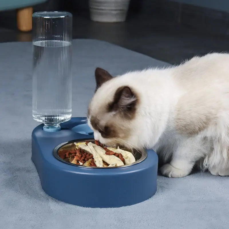 Pet Food Bowl with Bottle Automatic Drinking Feeder