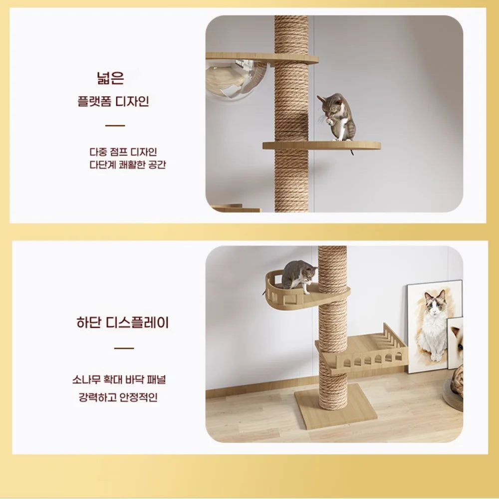 Scratching Post Hammock Ceiling Cat Tower