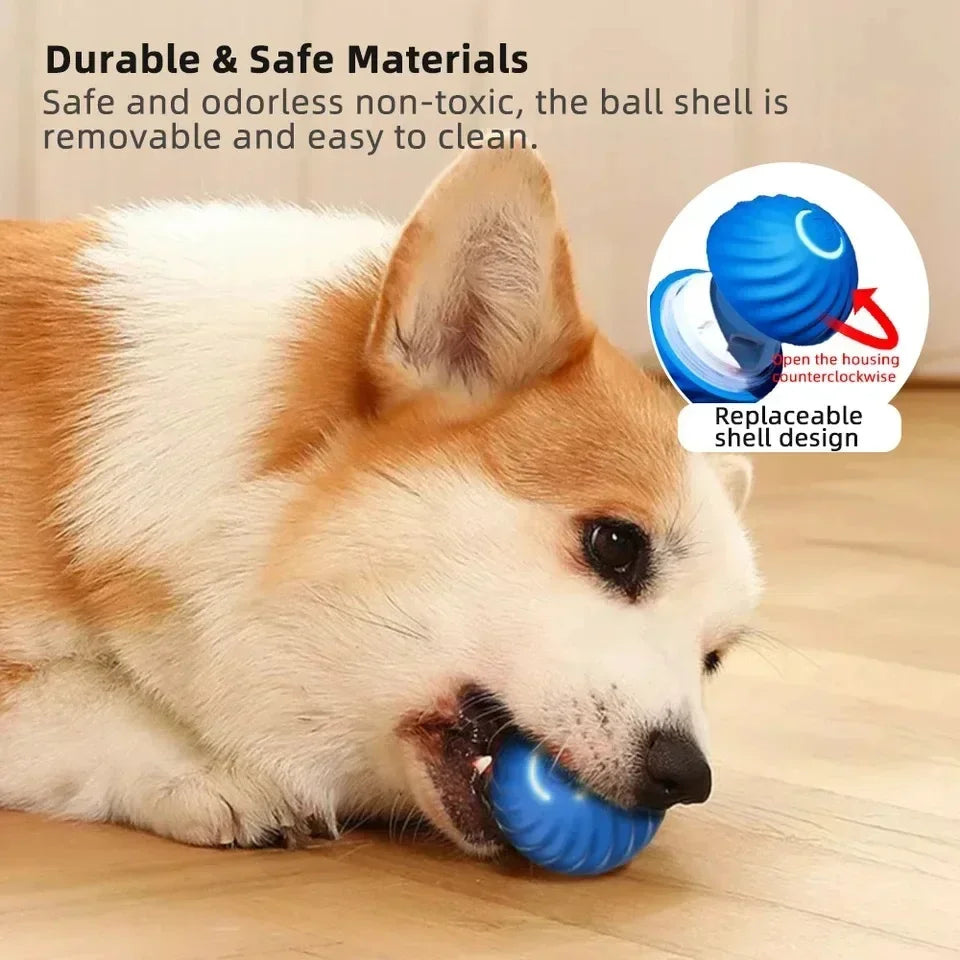 Interactive Smart Pet Ball Toy