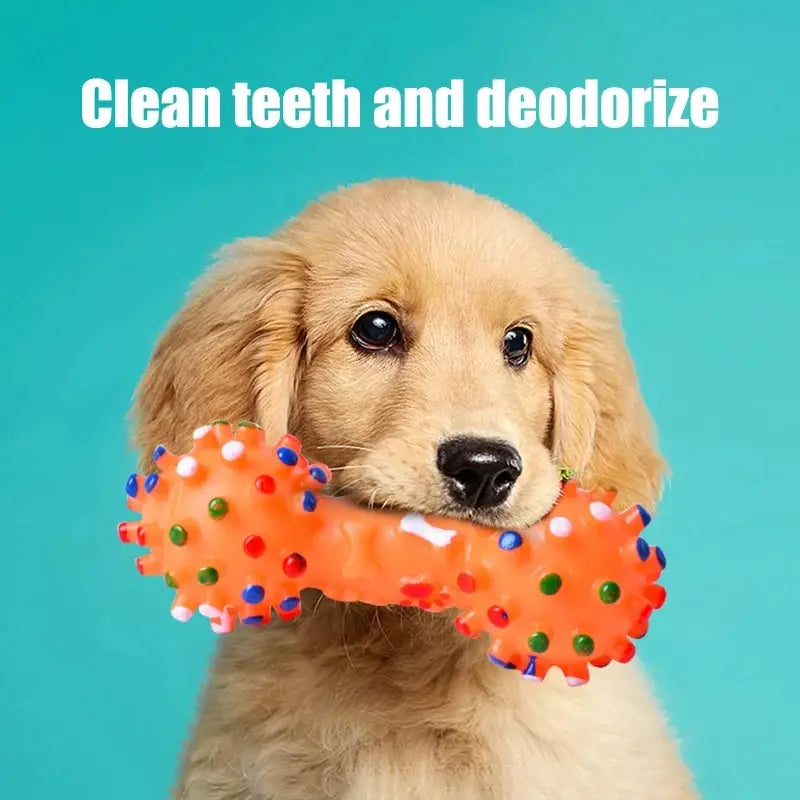 CLEAN TEETH DOG CHEW TOY