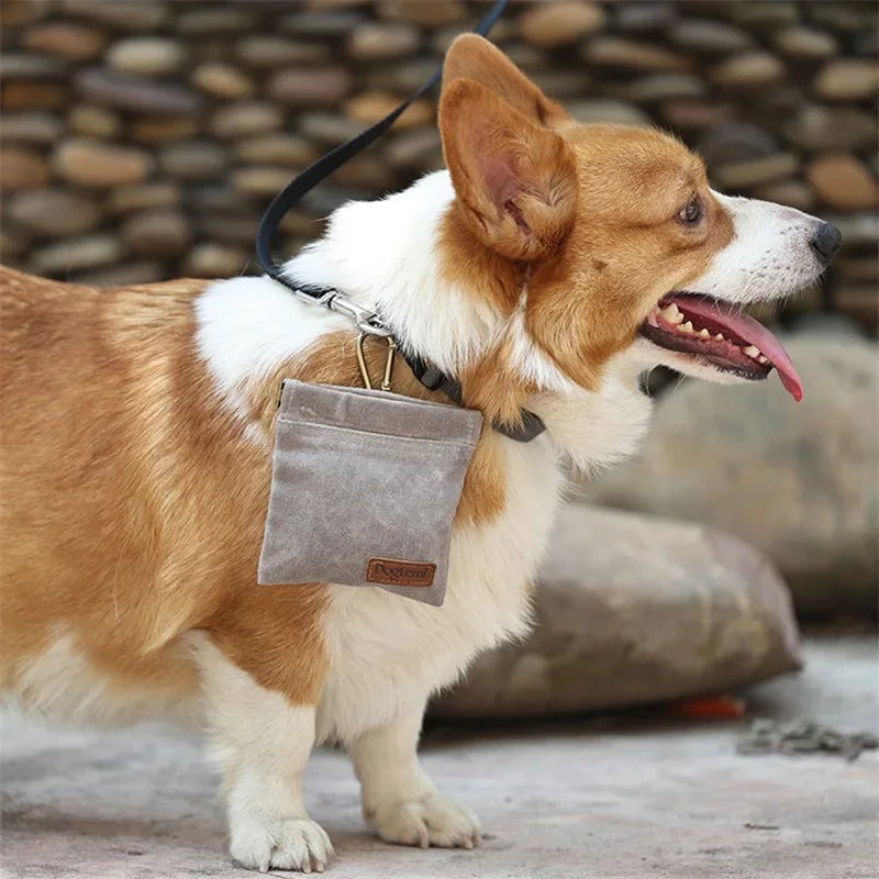 PET TREAT BAG with Carabiner