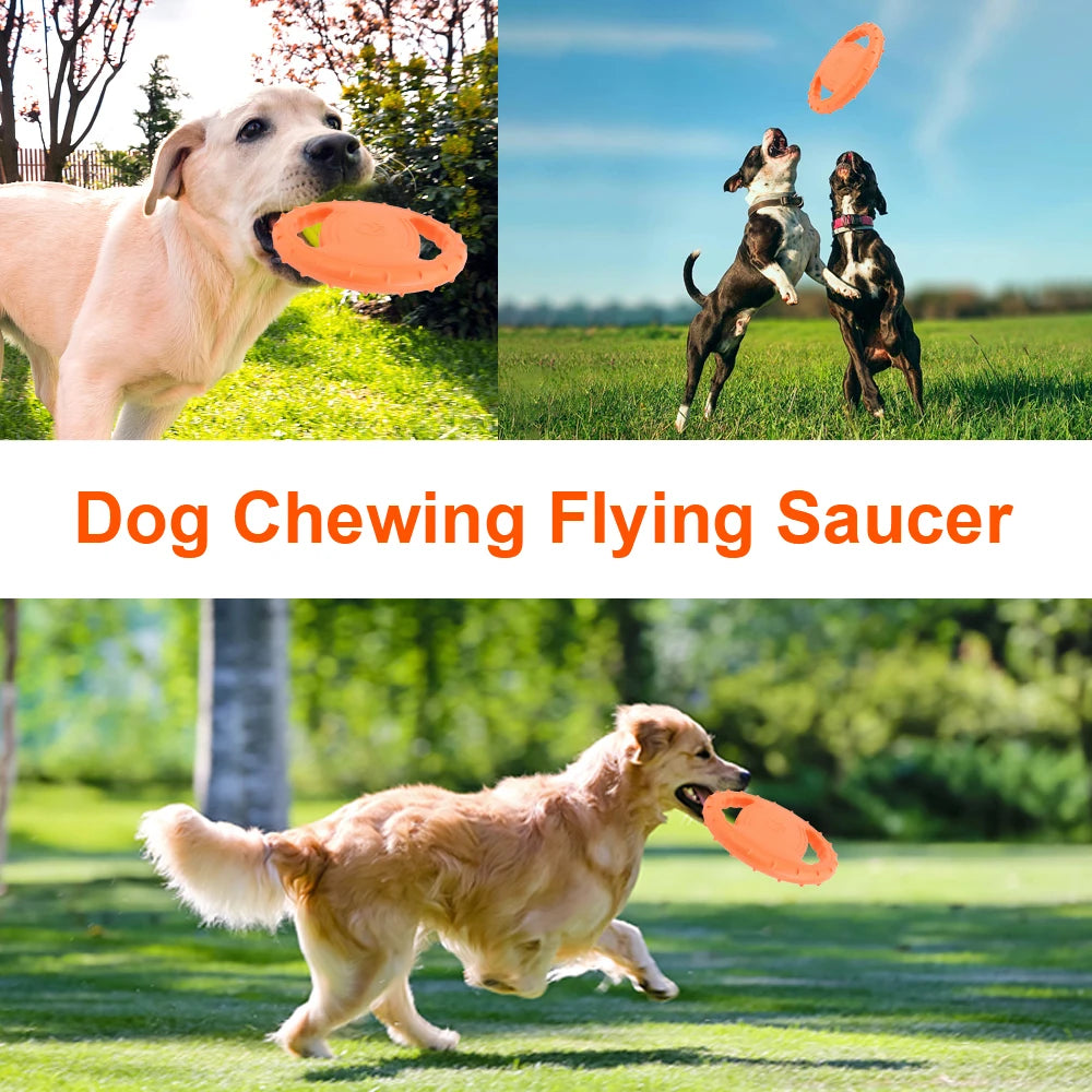 Flying Saucer Chew Toy