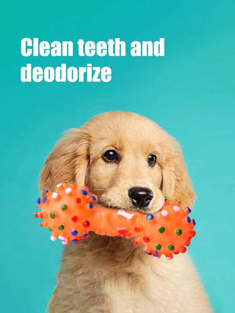 CLEAN TEETH DOG CHEW TOY