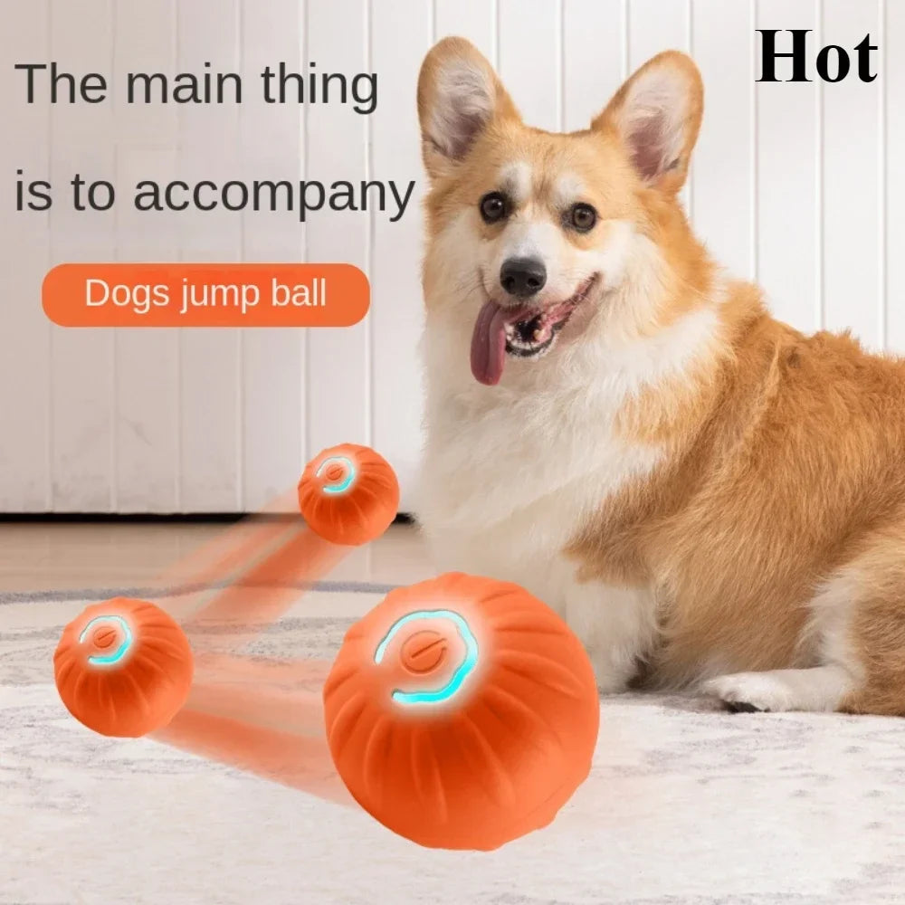 Interactive Smart Pet Ball Toy