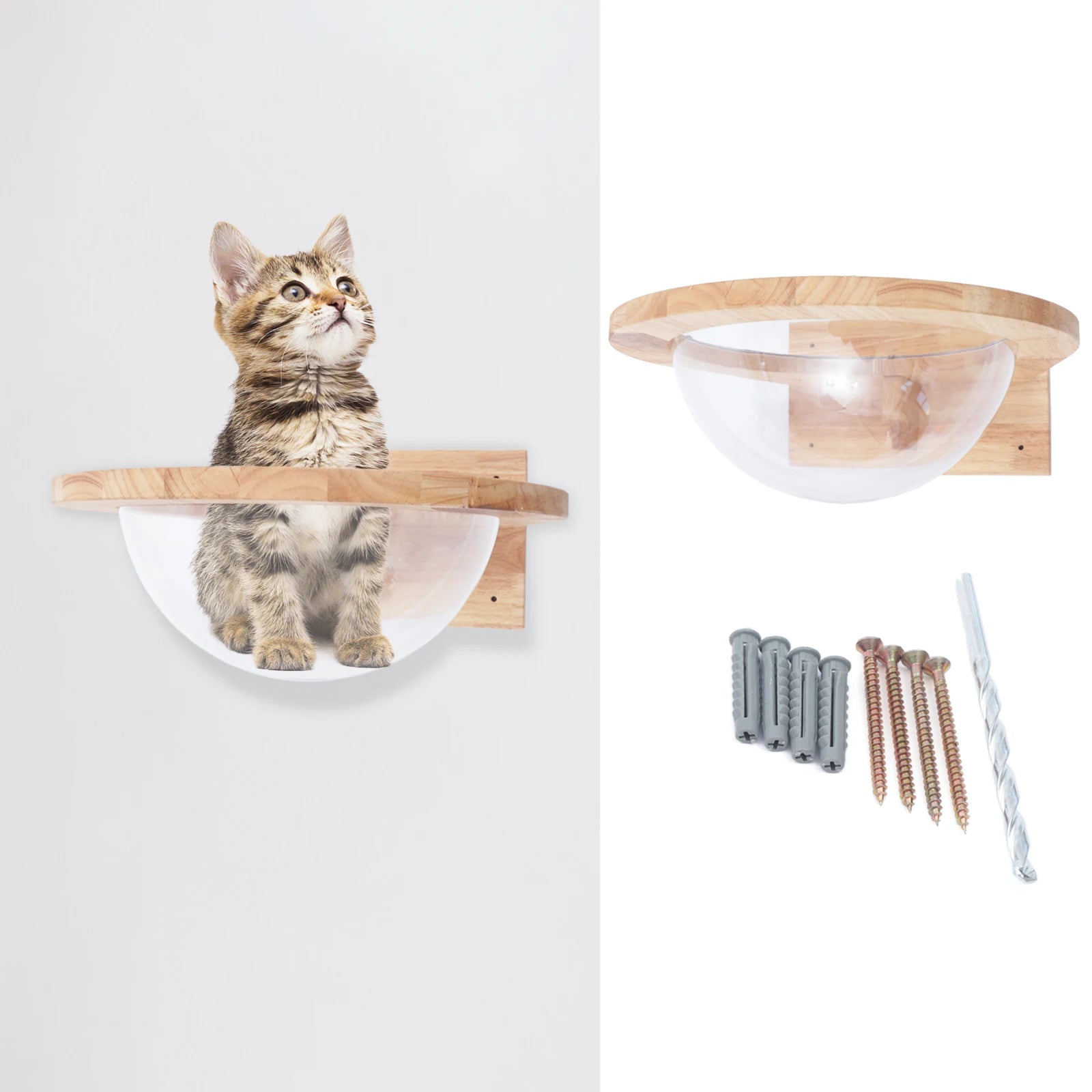 Transparent Capsule Cat Wall Shelves