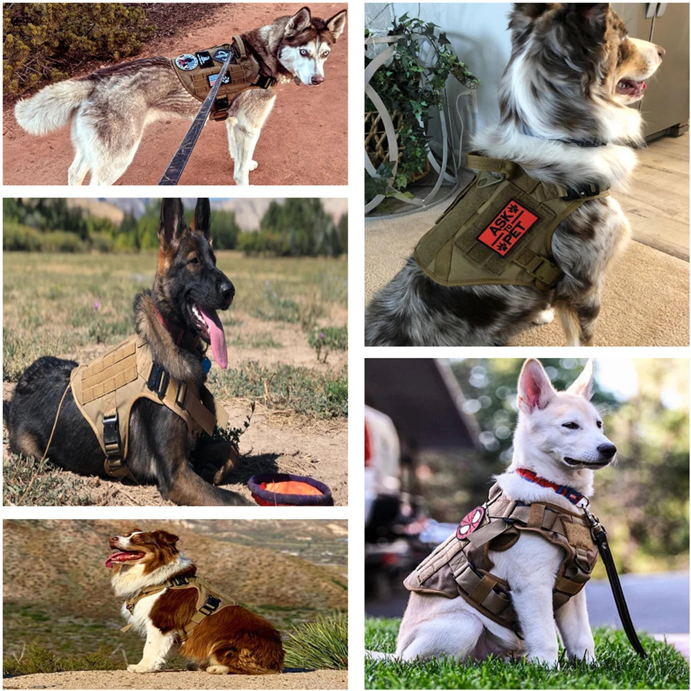 Military Large Pet Harness