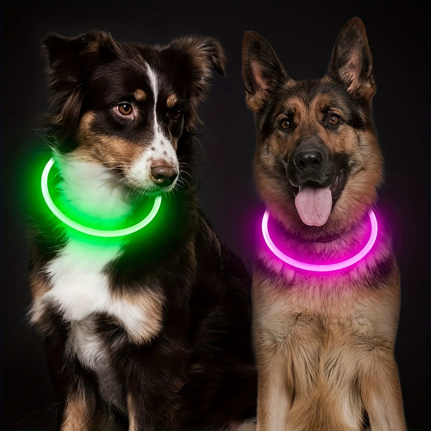 Pet LED Anti-Lost Luminous Collar USB Rechargeable Pet Collar