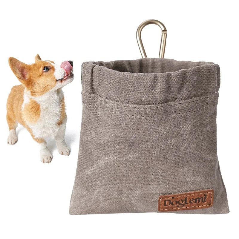 PET TREAT BAG with Carabiner