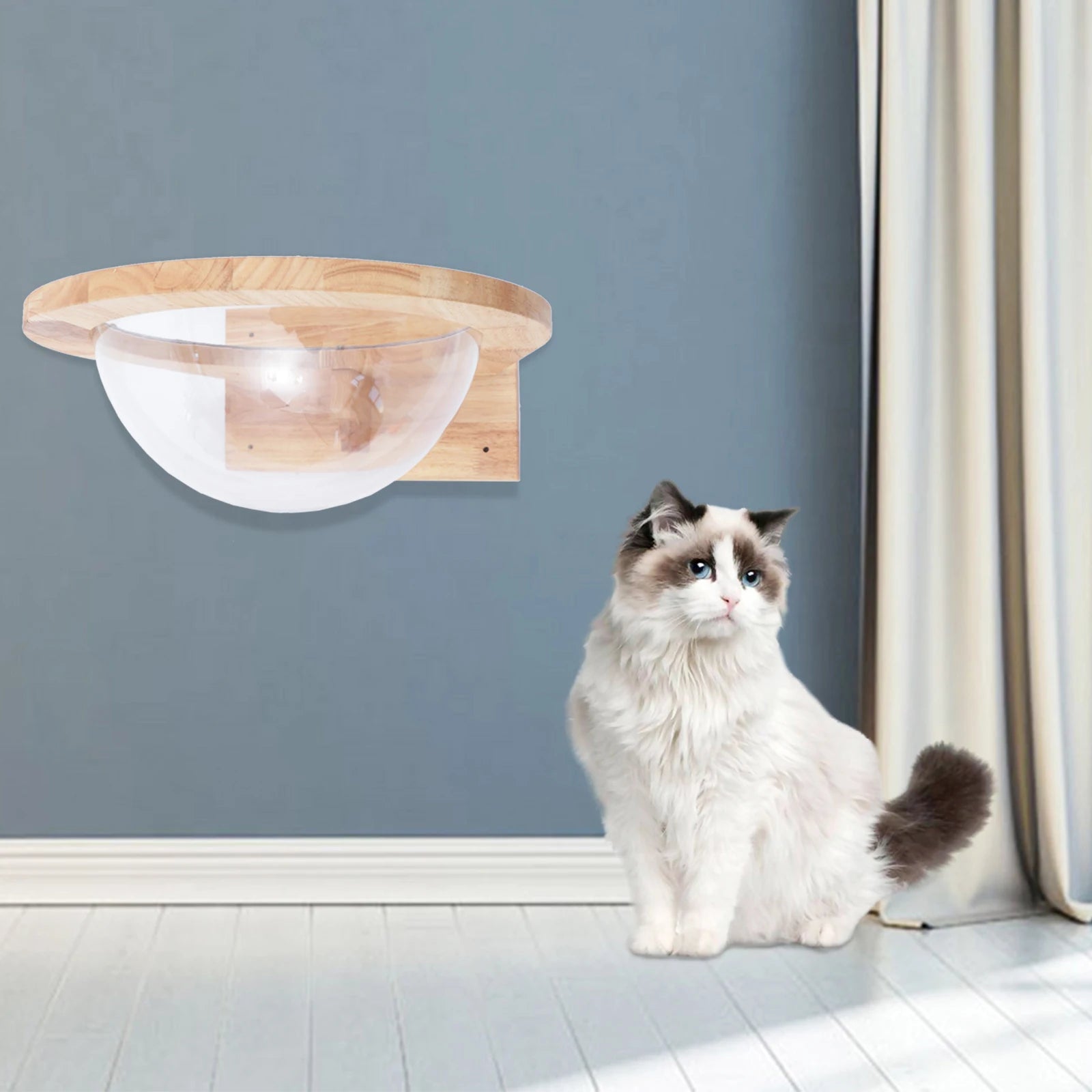 Transparent Capsule Cat Wall Shelves