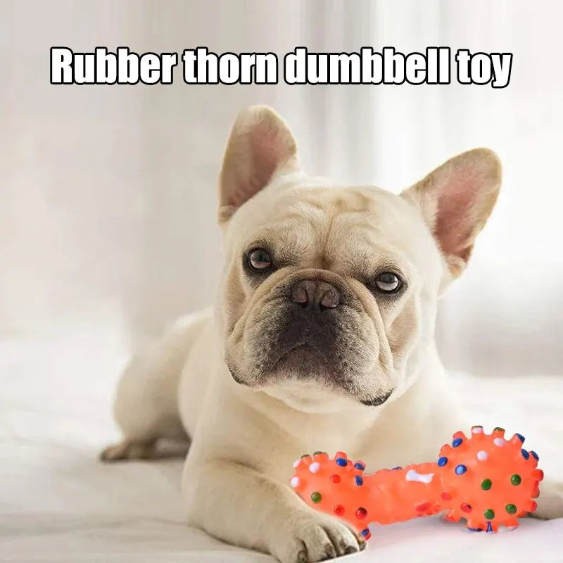 CLEAN TEETH DOG CHEW TOY