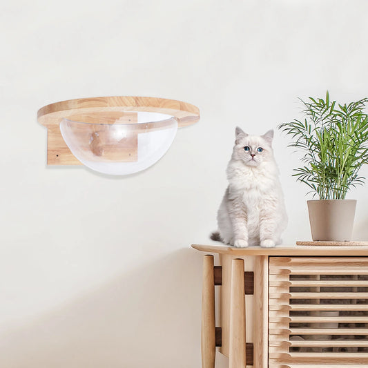 Transparent Capsule Cat Wall Shelves