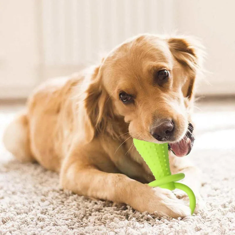 Indestructible Teeth Cleaning Chew Training Toys